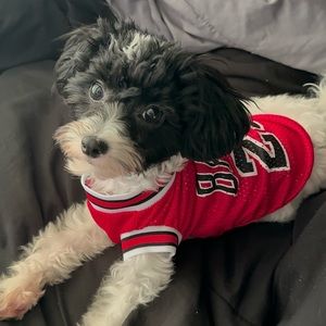 Meet your Posher, Jackie